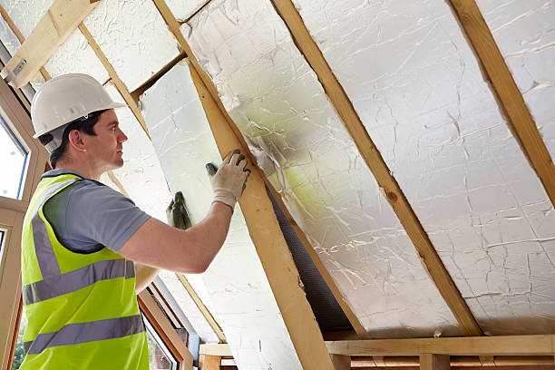 Best Professional Insulation Contractor  in Zilwaukee, MI